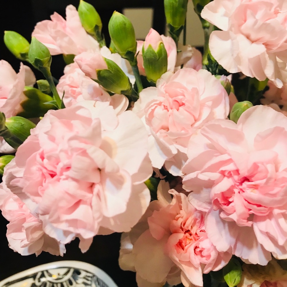 Meet your Posher, Jo-ann